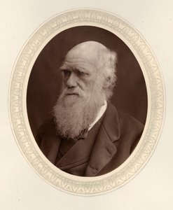 Charles Darwinin muotokuva 1809-1882, 1877. tekijältä Photo studio Lock and Whitfield