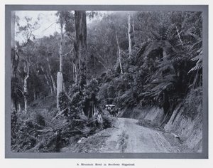 Vuoristotie Etelä-Gippslandissa (m/w kuva) tekijältä Photographer Australian