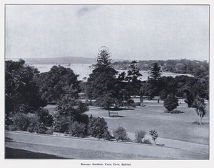 Kasvitieteellinen puutarha, Farm Cove, Sydney (m/v kuva) tekijältä Photographer Australian