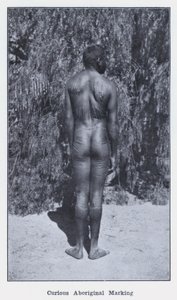 Utelias aboriginaalimerkintä (m/w kuva) tekijältä Photographer Australian