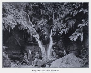 Fairy Dell Falls, Blue Mountains (m/w kuva) tekijältä Photographer Australian