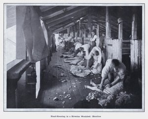 Käsinleikkaus Riverina Woolshedissa, Merribee (m/v kuva) tekijältä Photographer Australian