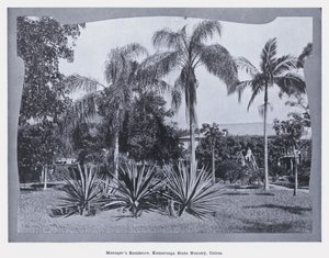 Johtajan asuinpaikka, Kamerunga State Nursery, Cairns (m/v kuva) tekijältä Photographer Australian