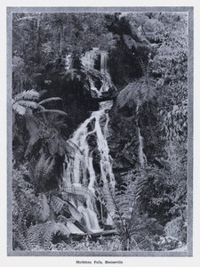 Mathinna Falls, Healesville (m/w kuva) tekijältä Photographer Australian