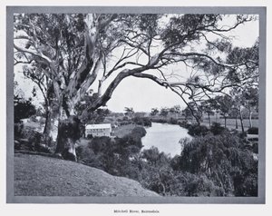 Mitchell River, Bairnsdale (m/w kuva) tekijältä Photographer Australian