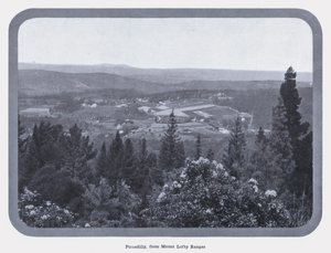 Piccadilly, Mount Lofty Rangesista (m/w kuva) tekijältä Photographer Australian