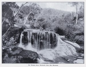 Weeping Rock, Wentworth Falls, Blue Mountains (m/w kuva) tekijältä Photographer Australian