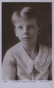 Belgian prinssi Charles, Flanderin kreivi (m/w kuva)