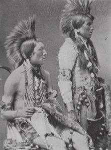 Kaksi Blackfoot Bravea (m/w kuva) tekijältä Photographer Canadian