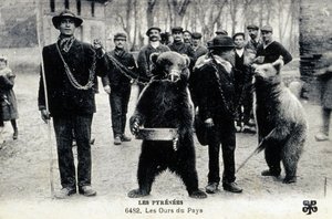 Karhunäyttelyt Pyreneillä, noin 1900 (s/w-kuva). tekijältä Photographer French