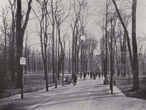 In the Tiergarten, Ahornsteig (m/w kuva) tekijältä Photographer German