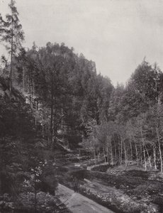 Juhlat Polenztalista (m/w kuva) tekijältä Photographer German