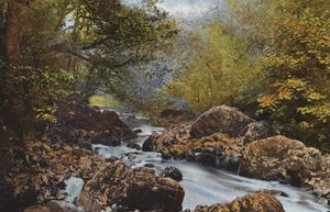 Irlanti: In The Dargle, County Wicklow (värillinen valokuva) tekijältä Photographer Irish