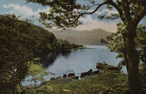 Etelä-Irlanti: At Innisfallen, Killarney (värillinen kuva) tekijältä Photographer Irish