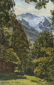 Wengen, Sveitsi (värikuva) tekijältä Photographer Swiss