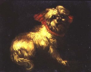 Maltanterrieri