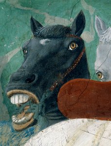 Legenda todellisesta rististä, kuningas Salomon vastaanotto Saaban kuningattarelle, yksityiskohta hevosesta, valmistunut fresko 1464.