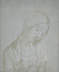 Nuoren naisen rintakuva, n. 1495. tekijältä Piero di Cosimo.