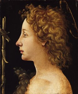 Nuori Johannes Kastaja (tempera ja öljy, puu) tekijältä Piero di Cosimo
