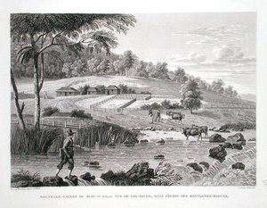 New South Wales, New Holland: Näkymä Cox-joelle Blue Mountains -vuorten länsipuolella, "Voyage Autour du Monde (1817-20)", Louis Claude Desaulses de Freycinet (1779-1842), kaiverrus Schroeder, julkaistu 1822 -24 (litho) tekijältä Pierre Antoine (after) Marchais