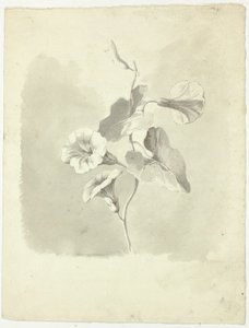 Aamunkirkot tekijältä Pierre Antoine Mongin