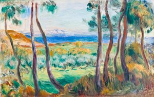 Pines lähellä Cagnesia, n. 1910 (öljy kankaalle) tekijältä Pierre Auguste Renoir