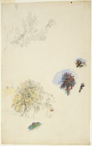 Puiden ja lehtien tutkimukset tekijältä Pierre Auguste Renoir
