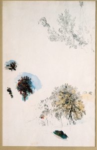 Puiden tutkimukset tekijältä Pierre Auguste Renoir