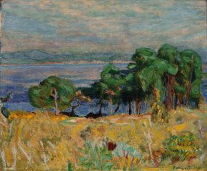 Die Bucht von Saint-Tropez tekijältä Pierre Bonnard