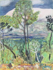 Maisema tekijältä Pierre Bonnard