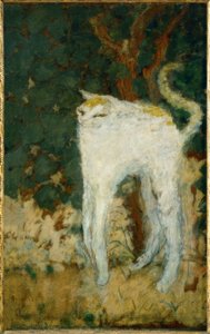 Le chat blanc