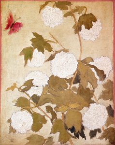 Lumipallot Kukat Lumipallot (Viburnum Ob) ja punainen perhonen. Pierre Bonnardin maalaus (1867-1947) Kokoelma P. M. Samuel tekijältä Pierre Bonnard