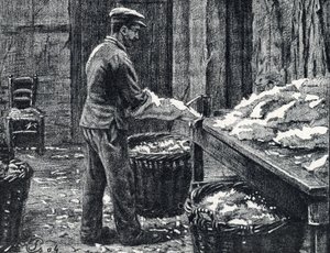 Couro: divisão de peles de coelho para fazer couro Gravura de “Excursion a travers les metiers” de Pierre Calmette Private Collectionfinlandês tekijältä Pierre Calmettes