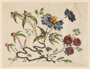 Tuloste, Kukkien oksat, teoksesta "Recueil de Differentes Fleurs de Fantaisie Dans le Goût Chinois". tekijältä Pierre Charles Canot