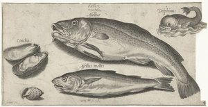 Turska, valkoturska, delfiini ja simpukat Kalastus (sarjan nimi) Piscium vivae -kuvakkeet (sarjan nimi)