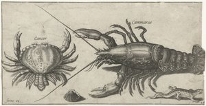 Hummeri, rapu, salamanteri ja kuori Kalastus (sarjan nimi) Piscium vivae -kuvakkeet (sarjan nimi)