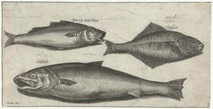 Llobarro, llenguado i un salmó Pesca (títol de la sèrie) Acabat d