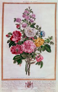Ruusukimppu Pierre Joseph Buchozin litografia (1731-1807) 1700-luvun Pariisi, B.N. tekijältä Pierre Joseph Buchoz