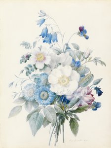 Sinisiä astereja, rosa spinosissima (hybridi), harebell, orvokkeja, neilikka ja villiruusu. tekijältä Pierre Joseph Redouté