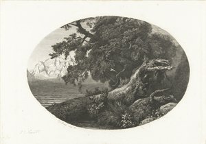 Rannikolla revitty puunrunko