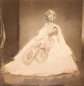 Bisi. Buduaari, harmaa samettimekko, vaaleanpunainen moire, vaaleanpunaiset kukat, hänen mai,..., 1860-luvun harmaat lehdet. tekijältä Pierre Louis Pierson