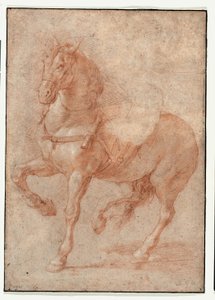 Tutkimus Bucephalus varten Relief "Alexander ja Diogenes" tekijältä Pierre Puget
