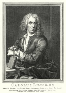 Carl Linnaeus, ruotsalainen kasvitieteilijä ja eläintieteilijä (kaiverrus)