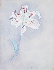 Lilja, n. 1920-25 (akvarelli paperille) tekijältä Piet Mondrian