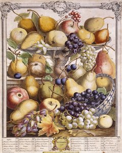 Marraskuu 1732, kauden omenat, päärynät, viinirypäleet jne., 1732 tekijältä Pieter Casteels