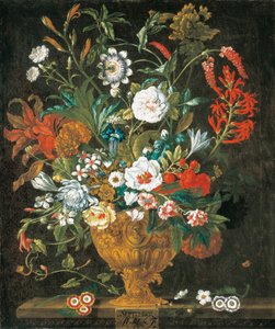 Syyskuu, The Twelve Monthve of Flowers -kukkikalenterista asetelmia tekijältä Pieter Casteels