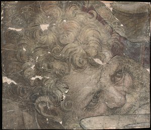 Ylöspäin katsovan parrakkaan miehen pää tekijältä Pieter Coecke van Aelst