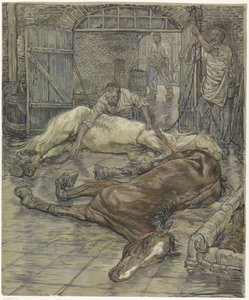 Kahden hevosen teurastus