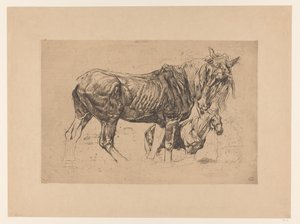 Opintolehti kahdella hevosella tekijältä Pieter Dupont