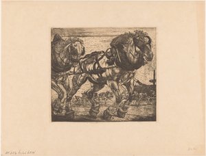 Vetohevosia Seine-joella Pariisissa L